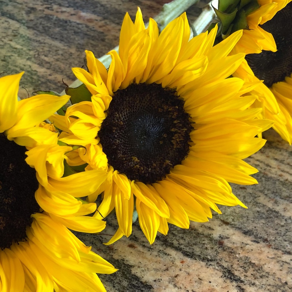 Meet your Posher, Kaelyn